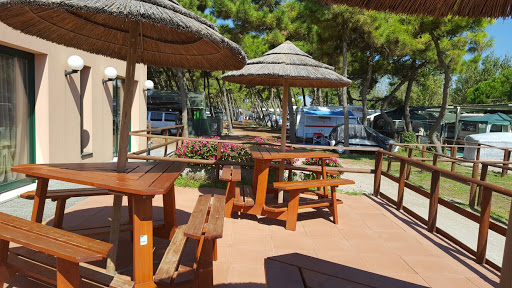 Camping Vittoria - Foto 9