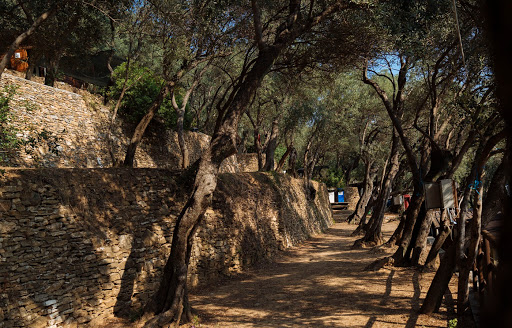 Campeggio San Sebastiano - Foto 6