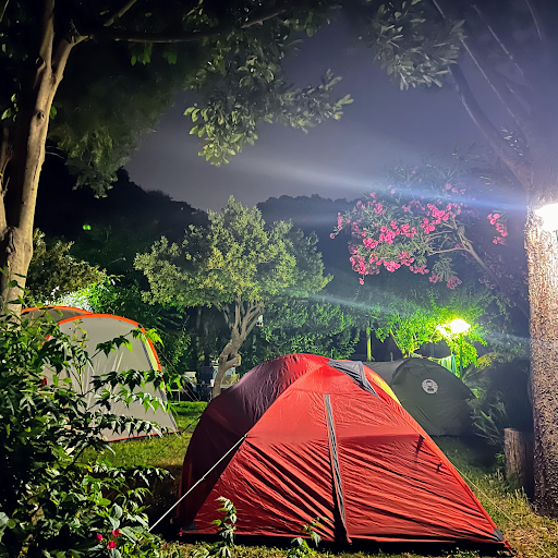 Agriturismo Mare e Monti Tramonti Winery,Rooms,Camping,Tents,Van,Camper - Foto 3
