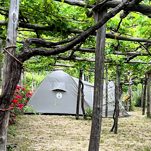 Agriturismo Mare e Monti Tramonti Winery,Rooms,Camping,Tents,Van,Camper - Foto 6