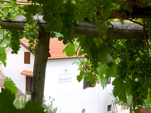 Agriturismo Mare e Monti Tramonti Winery,Rooms,Camping,Tents,Van,Camper - Foto 7