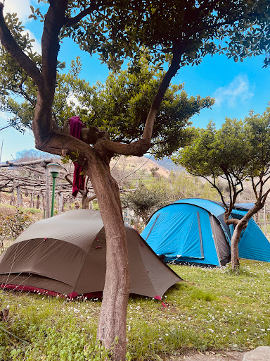 Agriturismo Mare e Monti Tramonti Winery,Rooms,Camping,Tents,Van,Camper - Foto 9