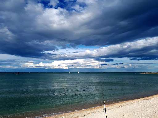 Area Sosta Camper – Comunale – Senigallia - Foto 5