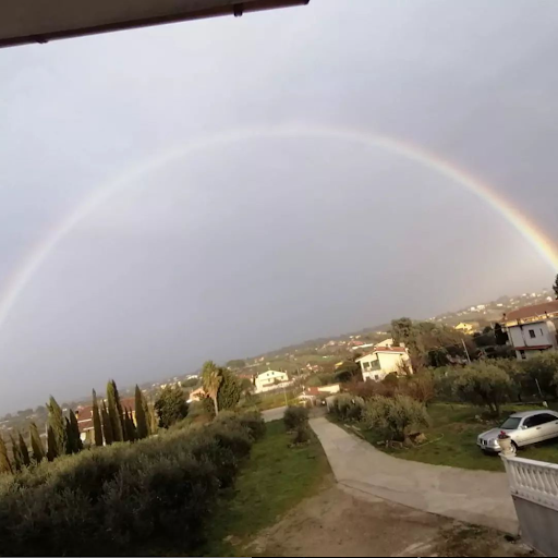 “L’Uliveto” Area Sosta Camper - Foto 2