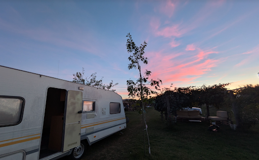 “L’Uliveto” Area Sosta Camper - Foto 7