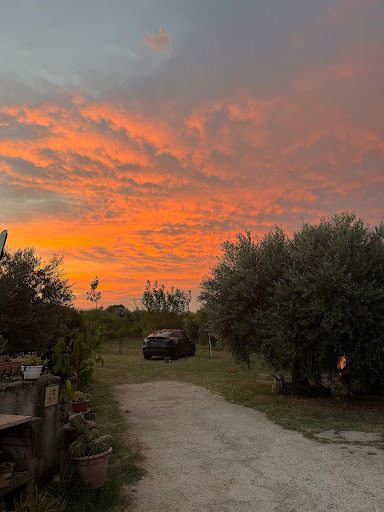 “L’Uliveto” Area Sosta Camper - Foto 8