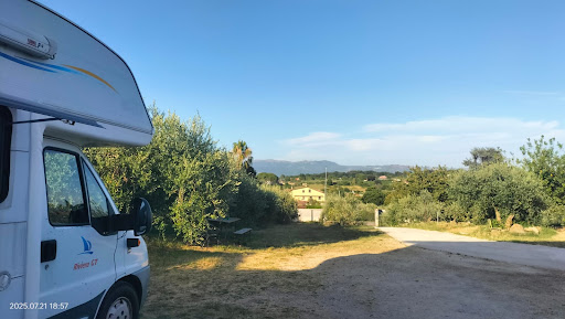 “L’Uliveto” Area Sosta Camper - Foto 10