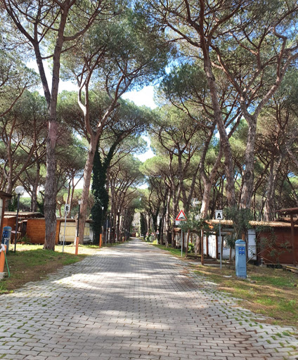 Club Campeggiatori Romani - Foto 3