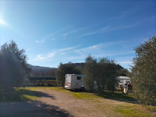 Agrisosta – L’Isola degli Ulivi - Foto 3