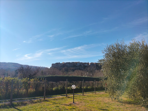 Agrisosta – L’Isola degli Ulivi - Foto 7