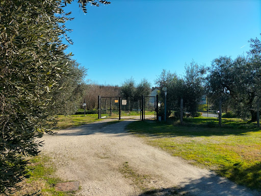 Agrisosta – L’Isola degli Ulivi - Foto 8