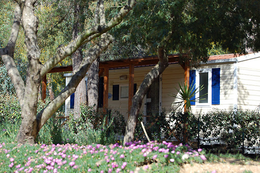 Camping La Pineta