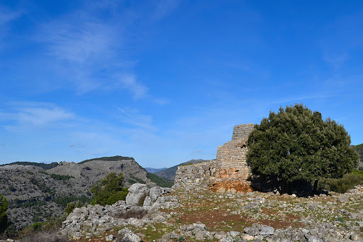 Camping La Pineta - Foto 10