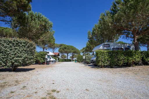 Camping Lanini Parco Sosta - Foto 4