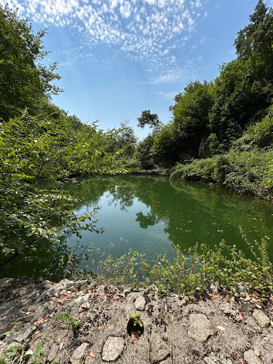 Agricampeggio I Mulini - Foto 2