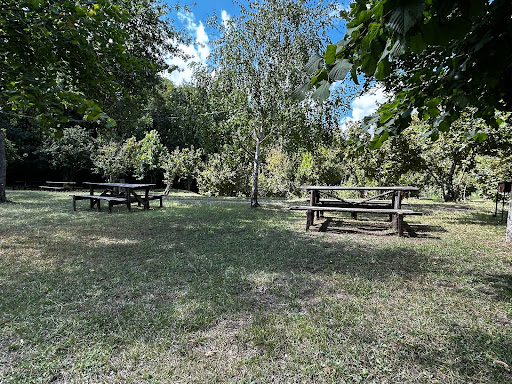 Agricampeggio I Mulini - Foto 3