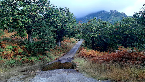 Agricampeggio I Mulini - Foto 5