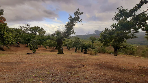 Agricampeggio I Mulini - Foto 6
