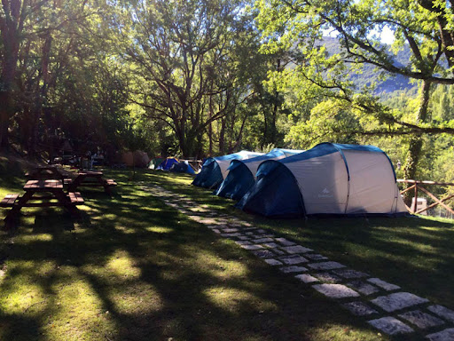 Campeggio DOLCEDORME – Aperto tutto l’anno - Foto 2