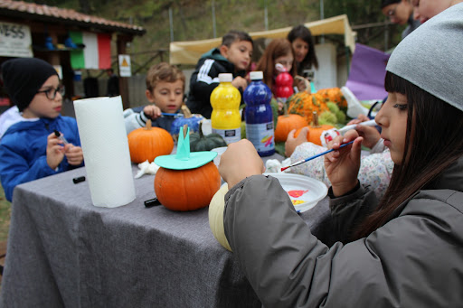 Campeggio DOLCEDORME – Aperto tutto l’anno - Foto 5