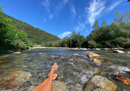 Park camelie — Provincia del Verbano-Cusio-Ossola - Foto 5
