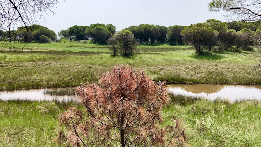 Parcheggio di Valle Vecchia - Foto 8