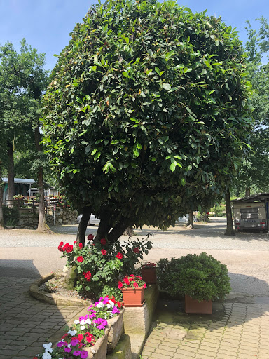 CAMPING HAWAY — Viverone - Foto 4