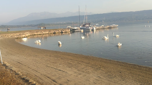 CAMPING HAWAY — Viverone - Foto 6