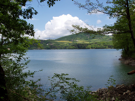 Camping Del Lago BAR PINETA - Foto 5