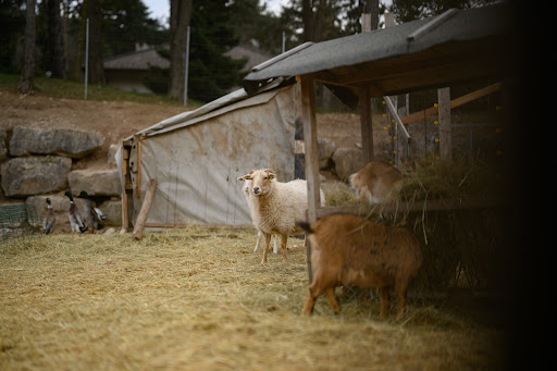 Agricampeggio TerrazzaPaganella Laghi di Lamar Trentino - Foto 8