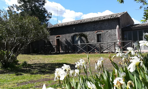 Poggio Roseto — Montelaguardia - Foto 5