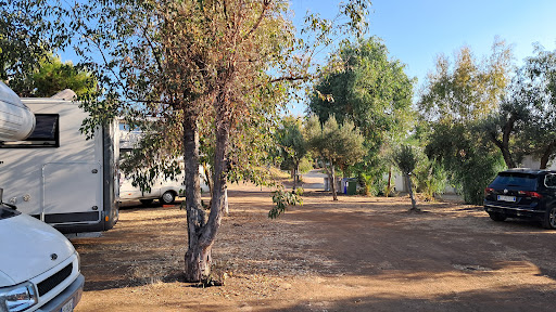 Area Sosta Camper Uliveto