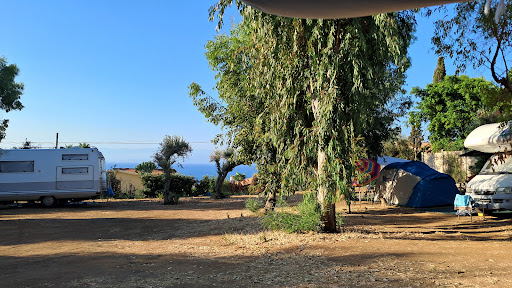 Area Sosta Camper Uliveto - Foto 3