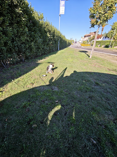 Parking Zeus – Area 2 (Bus & Camper) - Foto 9