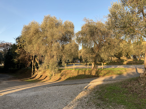 Area sosta camper dentro al Parcheggio dell’Uliveto - Foto 4