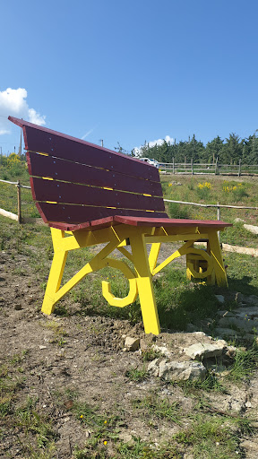 Agrisosta Fabbrini - Foto 4