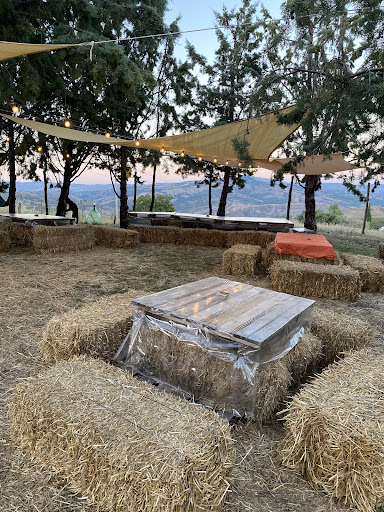 Agrisosta Fabbrini - Foto 10