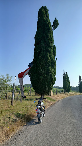 Area Sosta — Gaiole In Chianti - Foto 5
