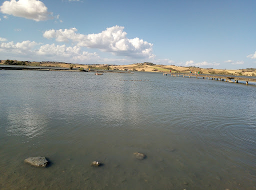 Camping pesce d’oro CHIUSO DEFINITIVAMENTE - Foto 2