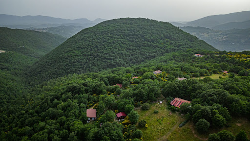 Agriturismo Pianeta Verde - Foto 5