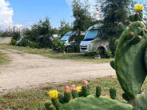 Salento Sosta Camper - Foto 2