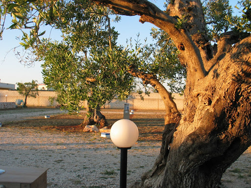 Salento Sosta Camper - Foto 10